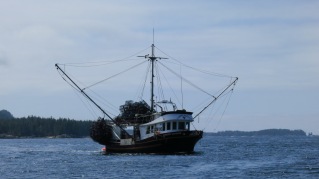 prawn-boat-on-central-coast-natalie-ban